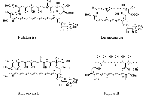 VStructures of some polyene
                            antibiotics