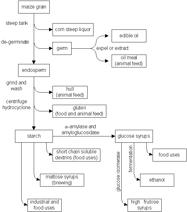 Maize starch processing