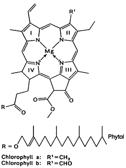 E140