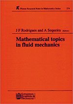 Mathematical Topics in Fluid Mechanics